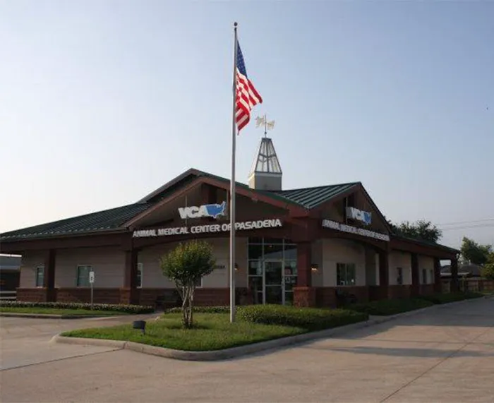 VCA Animal Medical Center of Pasadena 12