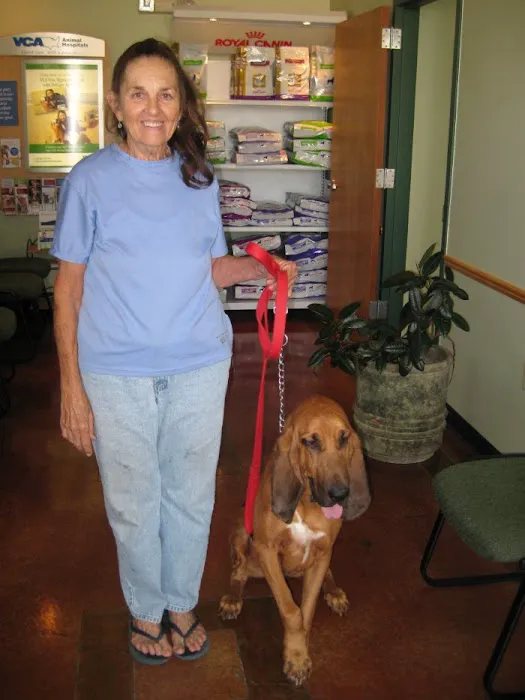 VCA Animal Medical Center of Pasadena 12