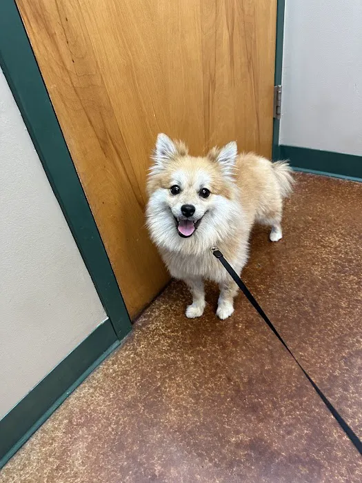 VCA Animal Medical Center of Pasadena 12