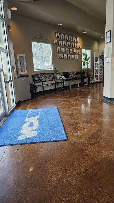 VCA Animal Medical Center of Pasadena 12