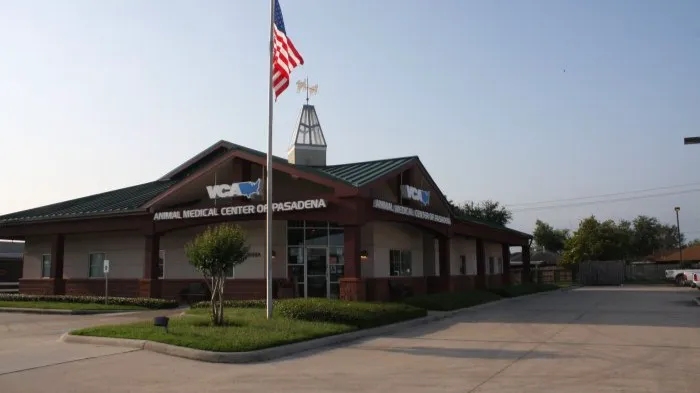 VCA Animal Medical Center of Pasadena 12