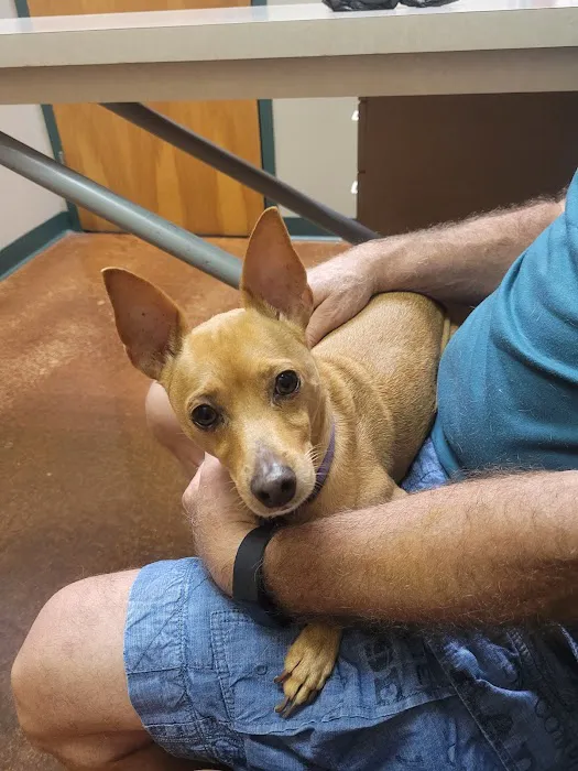 VCA Animal Medical Center of Pasadena 12