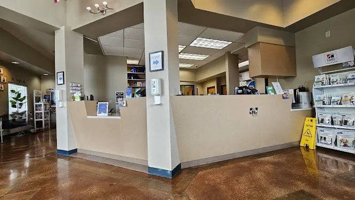 VCA Animal Medical Center of Pasadena 12