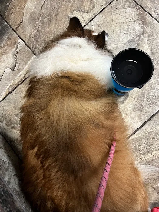 VCA Animal Emergency Hospital Southeast 12