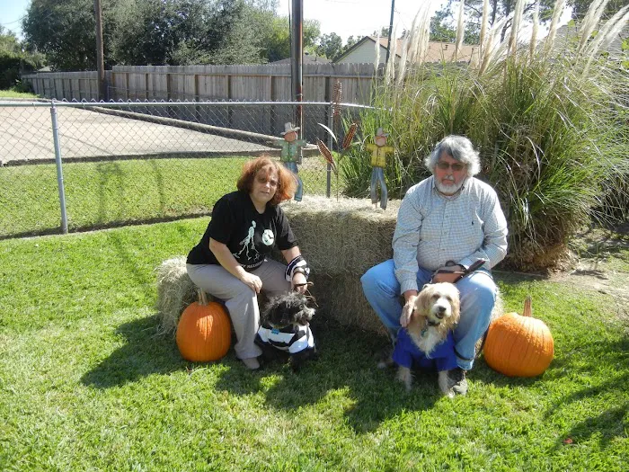 Spencer Animal Hospital 12
