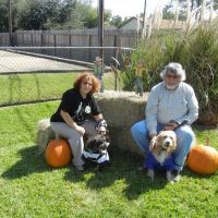 Spencer Animal Hospital ico