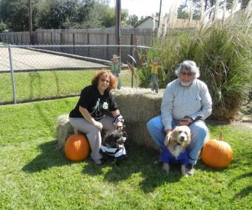 Spencer Animal Hospital