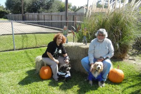 Spencer Animal Hospital