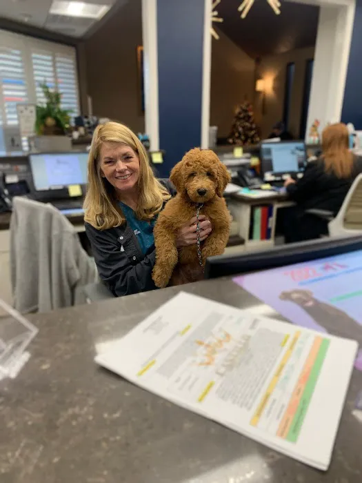 Spencer Animal Hospital 12