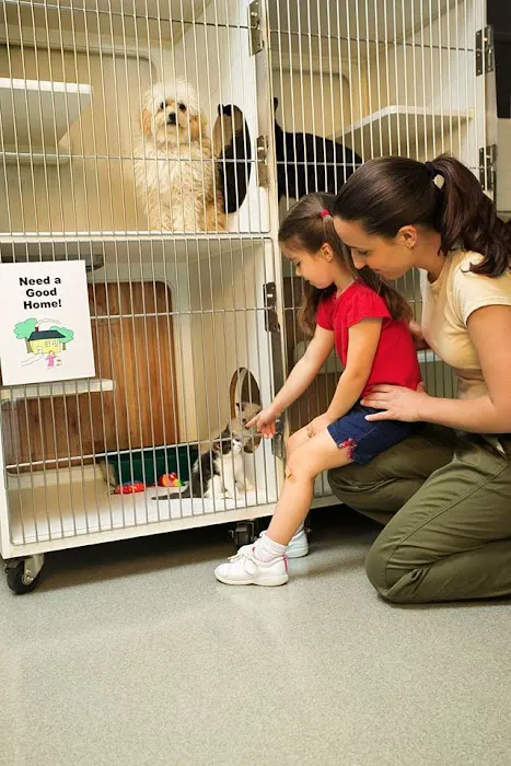 Spencer Animal Hospital 12