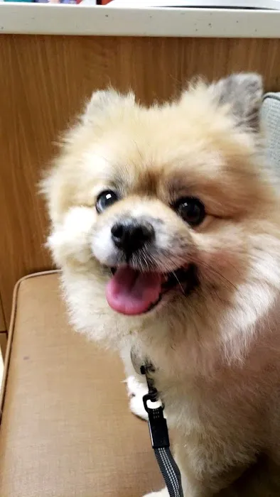 Deer Park Animal Hospital 12
