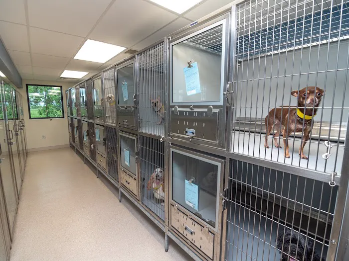 Deer Park Animal Hospital 12