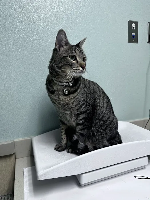 Deer Park Animal Hospital 12