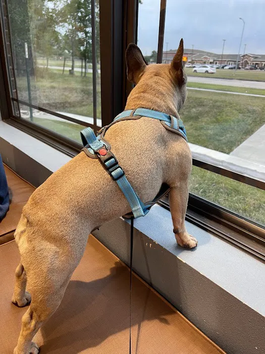 Deer Park Animal Hospital 12