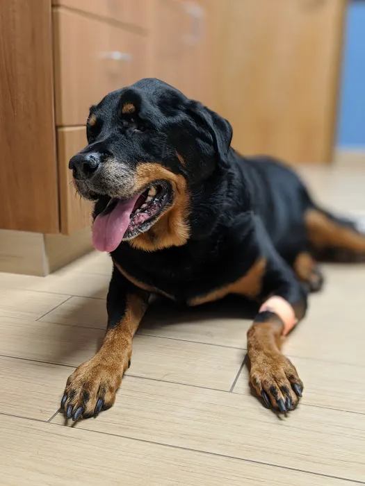 Deer Park Animal Hospital 12