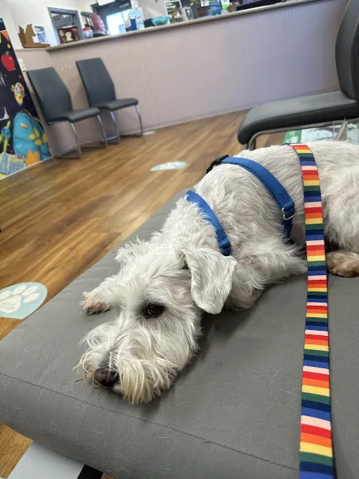 Underwood Animal Clinic 12