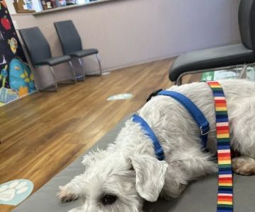 Underwood Animal Clinic