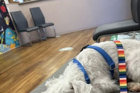 Underwood Animal Clinic