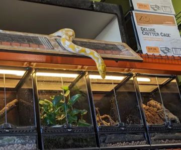 Appalachian Reptiles & Aquatics