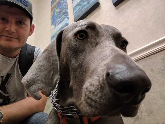 Coastal Veterinary Dermatology & Ear Clinic 12