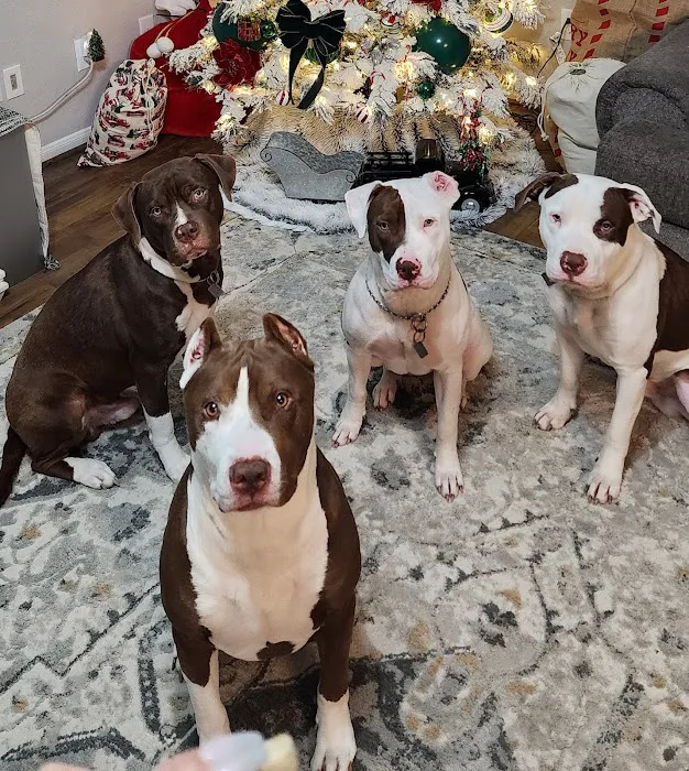 Animal Medical Center of Baytown 12