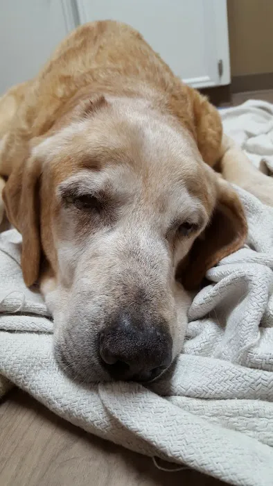 Archer Road Animal Hospital 12