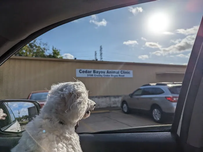 Cedar Bayou Animal Clinic 12