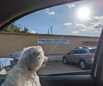 Cedar Bayou Animal Clinic