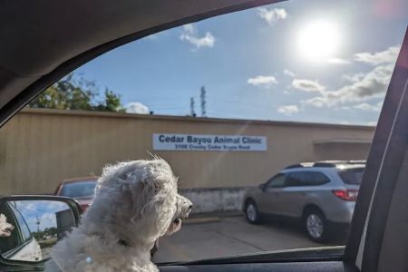 Cedar Bayou Animal Clinic