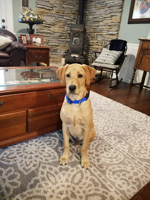 Cedar Bayou Animal Clinic 12