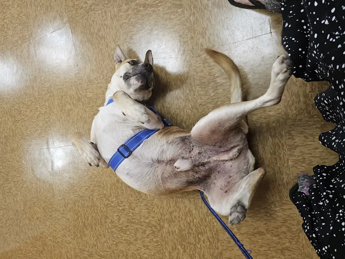 Cedar Bayou Animal Clinic 12