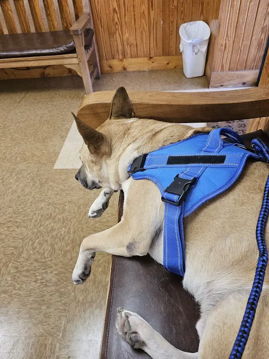 Cedar Bayou Animal Clinic 12