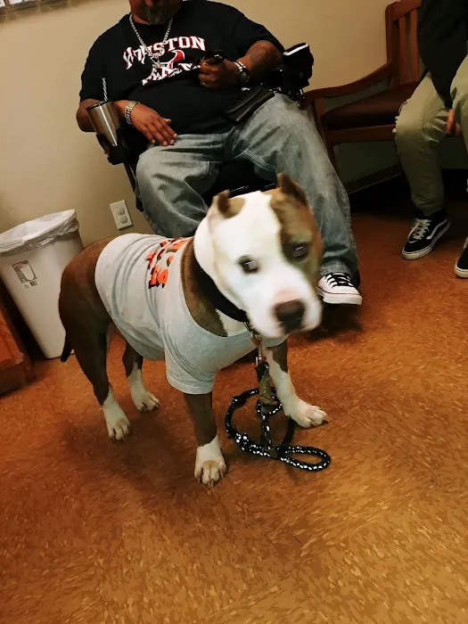 Cedar Bayou Animal Clinic 12