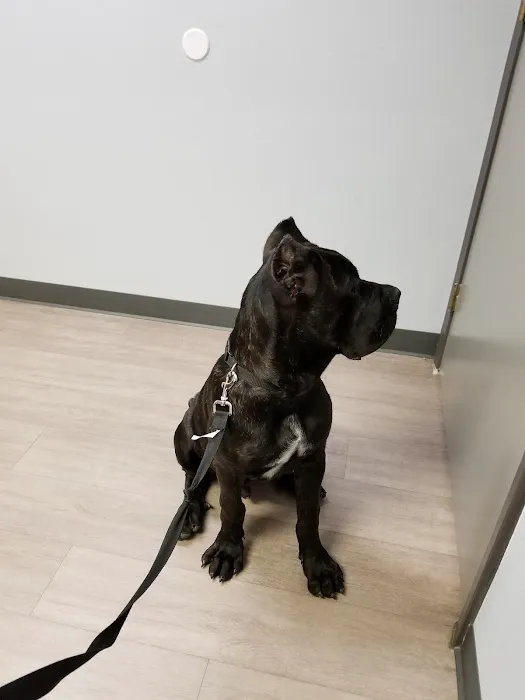 Abshier-Meuth Animal Hospital 12