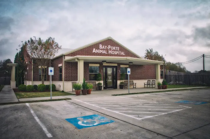 Bay-Porte Animal Hospital 12