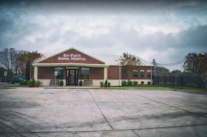Bay-Porte Animal Hospital 12