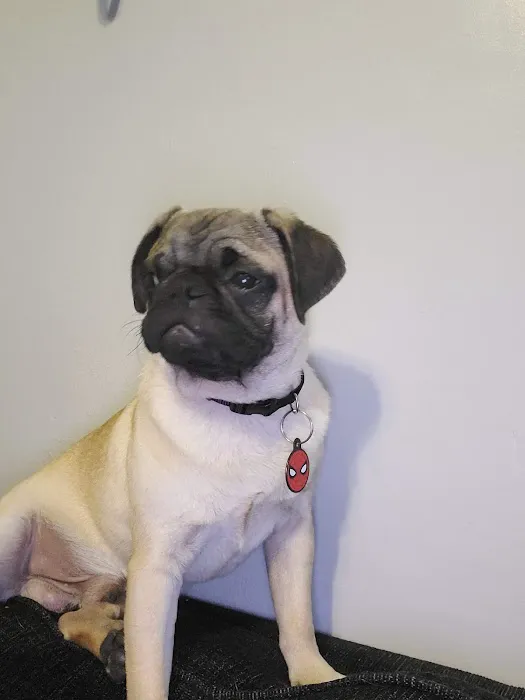 Banfield Pet Hospital 12