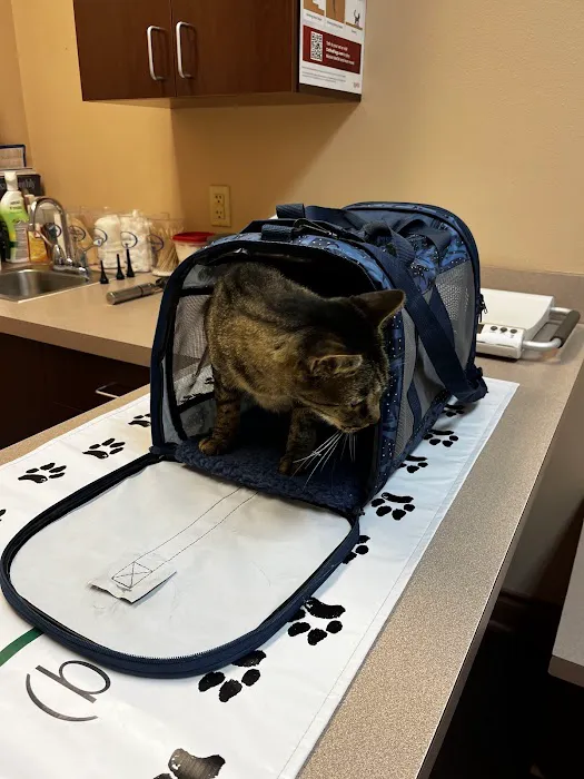 Animal Care Center-Lake Houston 12