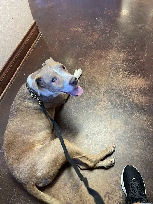 Animal Care Center-Lake Houston 12