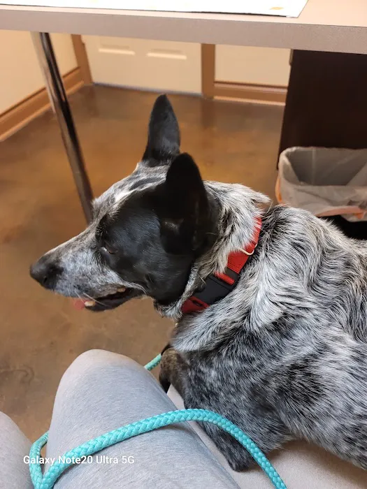 Animal Care Center-Lake Houston 12