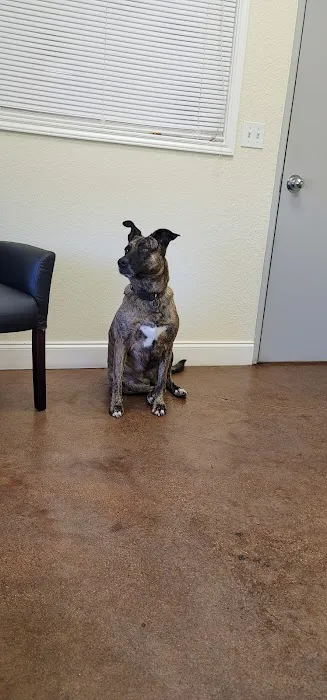 Animal Clinic of La Porte 12