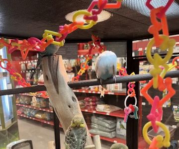 Petco