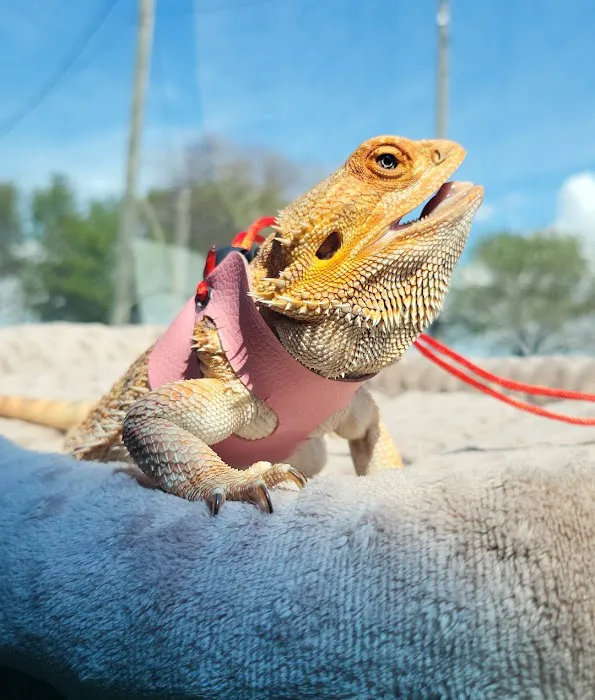 ACES All Creatures Exotic & Small Veterinary Hospital 5