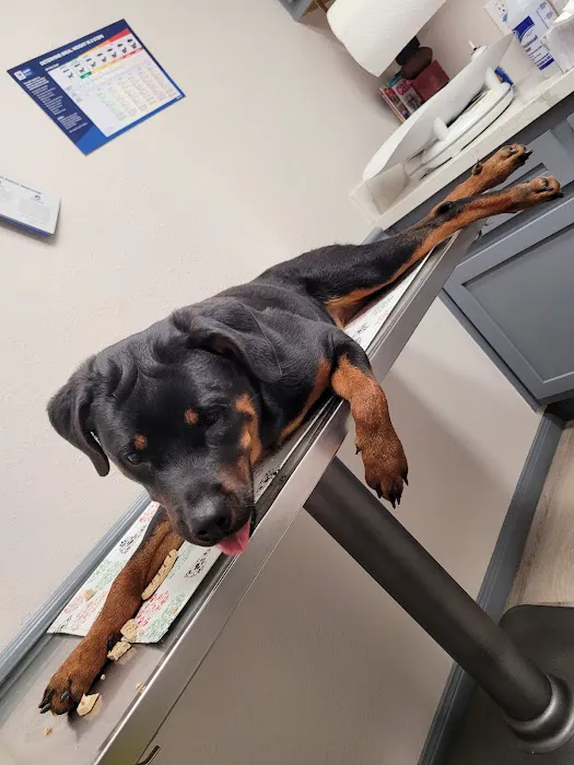 Kirkwood Veterinary Hospital 12