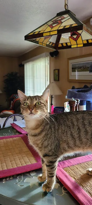 Kirkwood Veterinary Hospital 12