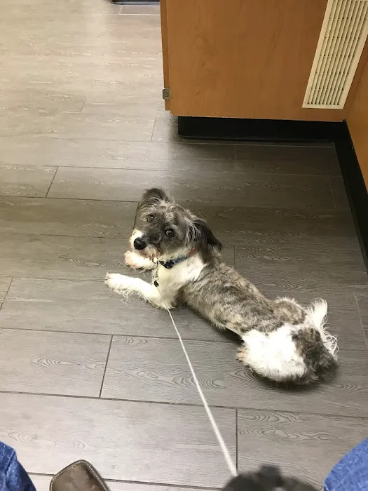 Banfield Pet Hospital 12