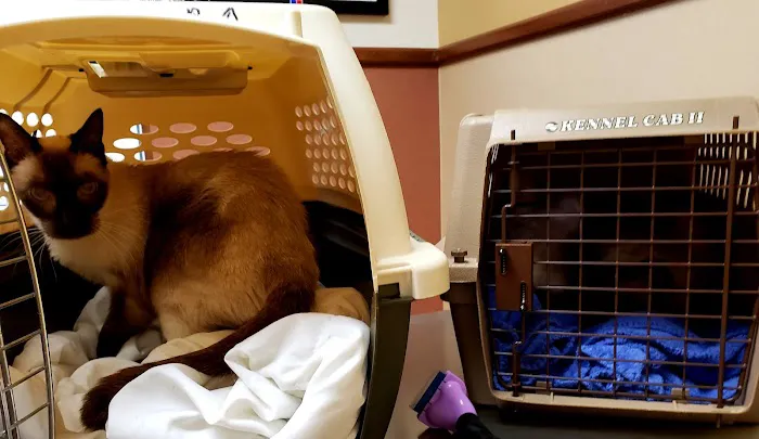 VCA Prestonwood Animal Hospital 12