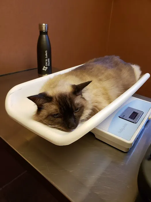 VCA Prestonwood Animal Hospital 12