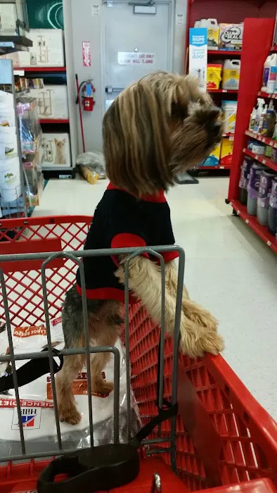 Petco 9
