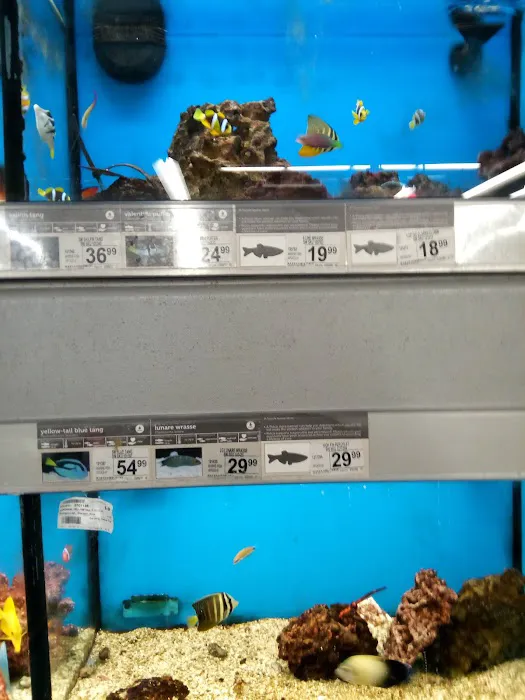 Petco 8